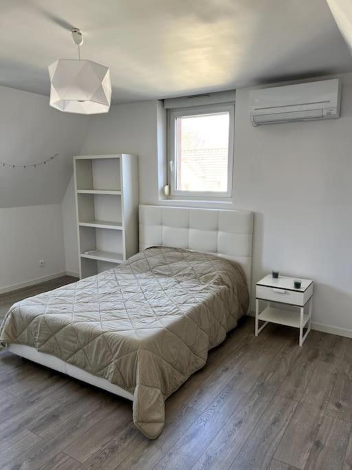 Appartement F5 Maison De Maitre Mulhouse Bagian luar foto