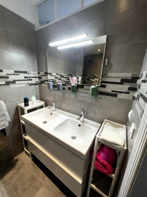 Appartement F5 Maison De Maitre Mulhouse Bagian luar foto
