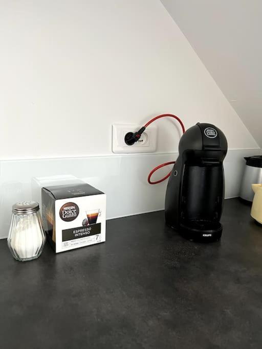 Appartement F5 Maison De Maitre Mulhouse Bagian luar foto