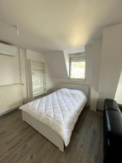 Appartement F5 Maison De Maitre Mulhouse Bagian luar foto