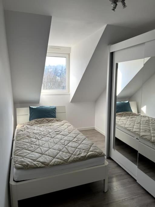 Appartement F5 Maison De Maitre Mulhouse Bagian luar foto