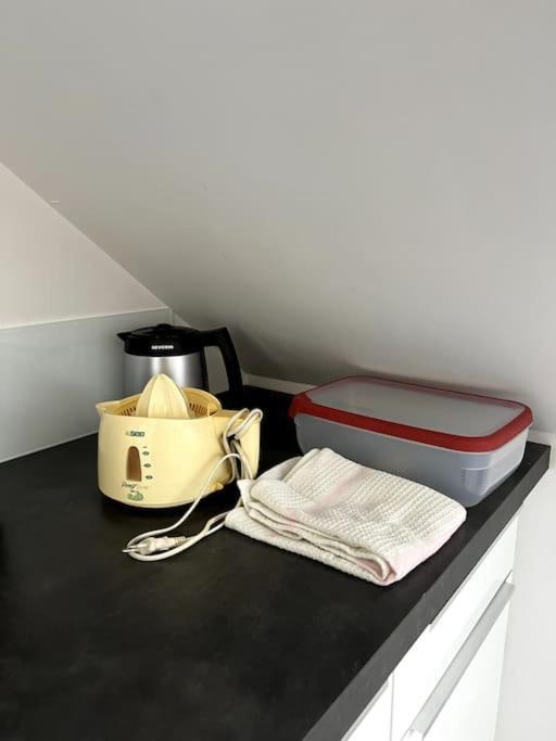 Appartement F5 Maison De Maitre Mulhouse Bagian luar foto