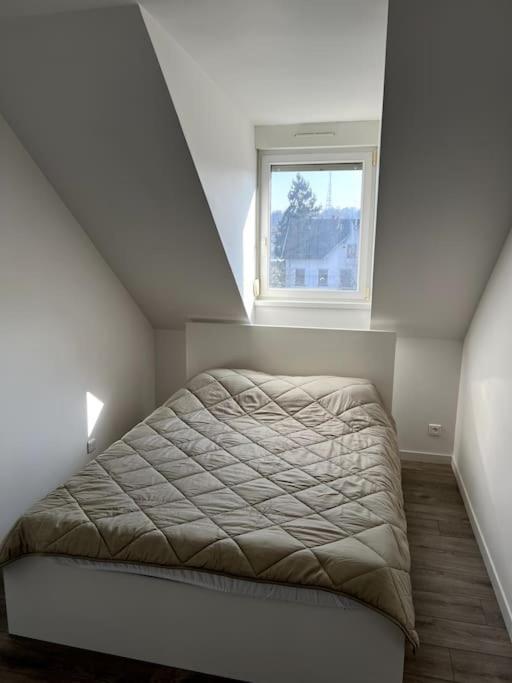 Appartement F5 Maison De Maitre Mulhouse Bagian luar foto